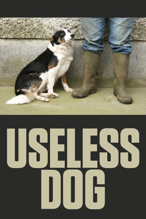 Useless Dog 2004