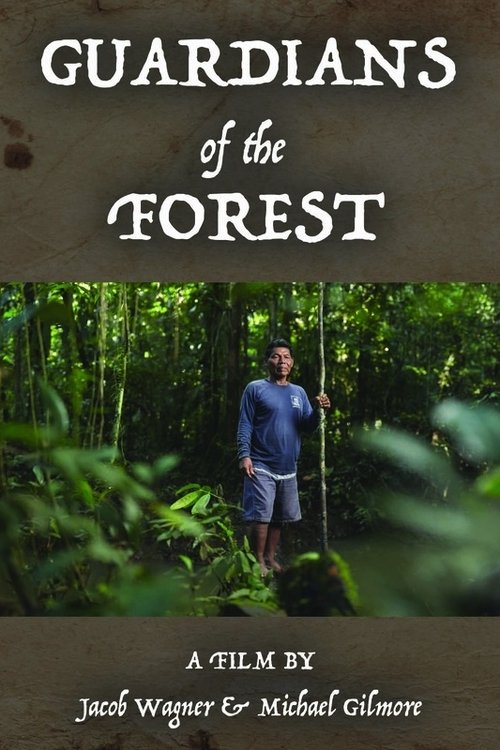 Guardians of the Forest movie poster player