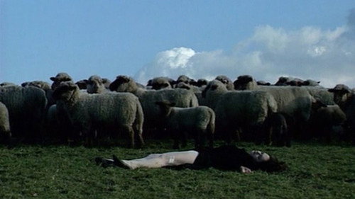 The Complaint of an Empress