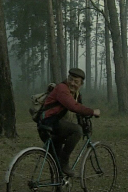 On the Swamps