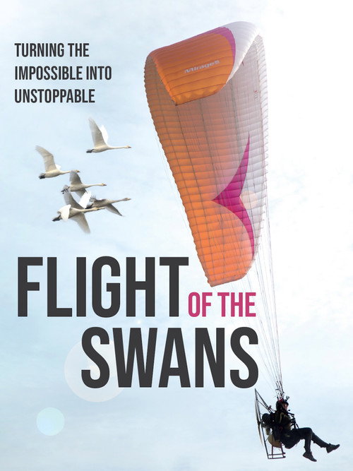 Flight of the Swans still 2