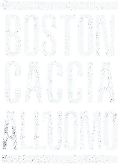 Boston: Caccia all'uomo official logo