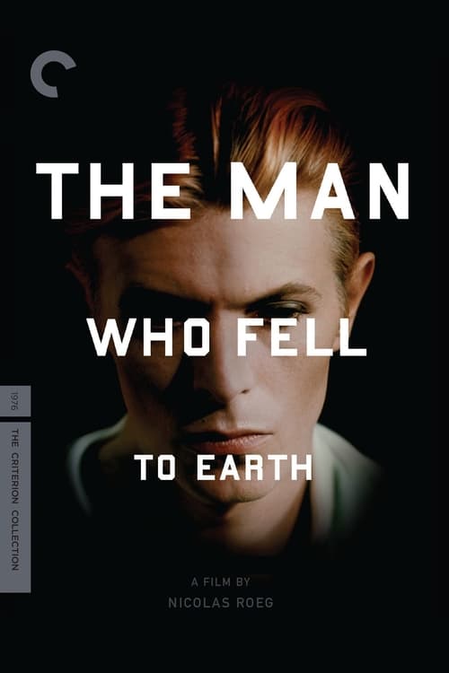 Grootschalige poster van The Man Who Fell to Earth