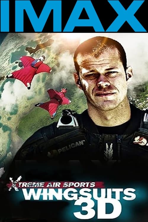 Wingsuit Warrior Movie Poster Image