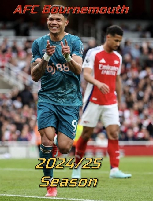 AFC Bournemouth 2024/25 Season Review