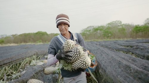 Épisode 95