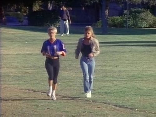 Dallas, S13E14 - (1990)