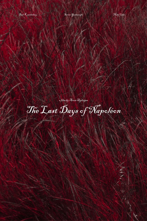 The Last Days of Napoléon poster