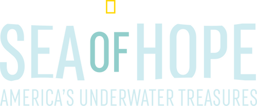 Sea of Hope: America's Underwater Treasures