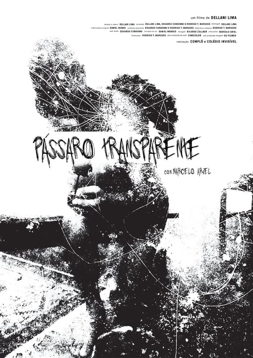 Pássaro Transparente (2017)