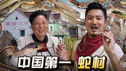 Episode 260