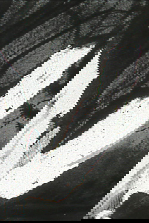 Black Vision
