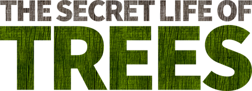 The Secret Life of Trees logo