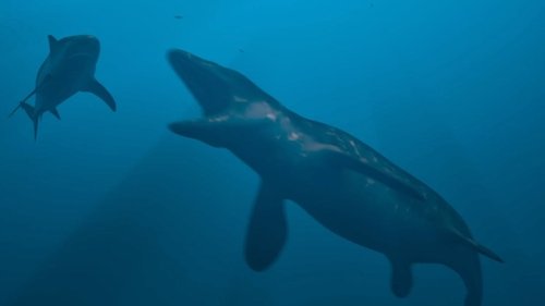 Image de l'épisode 4