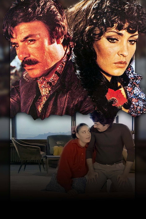 Affiche de Durdurun Dünyayı