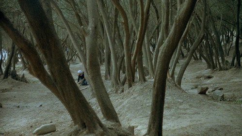 Life, and Nothing More…