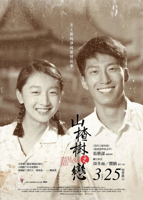 山楂树之恋 (2010) poster