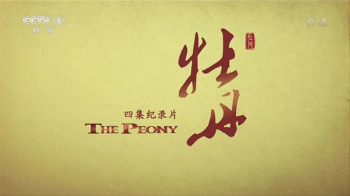 牡丹 - Season 1 Backdrop Blur