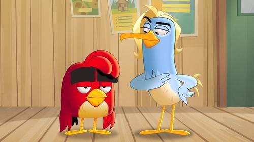 Poster della serie Angry Birds: Summer Madness