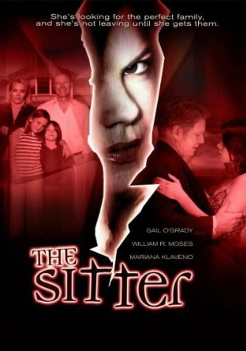 The Sitter poster