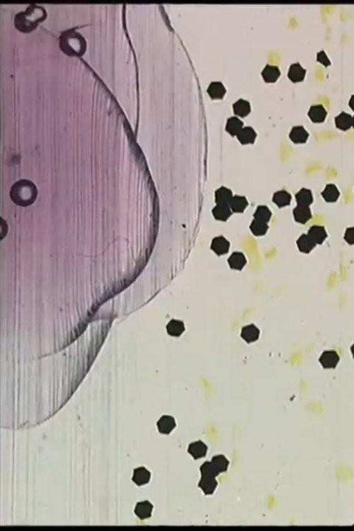 Made from Job's Tears