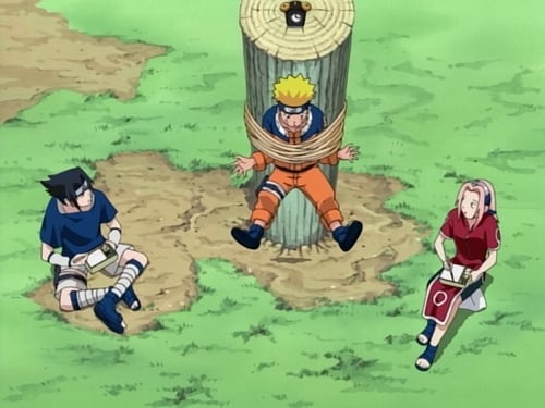 Naruto: 1×5