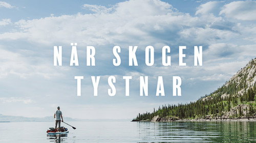 När skogen tystnar Backdrop Blur