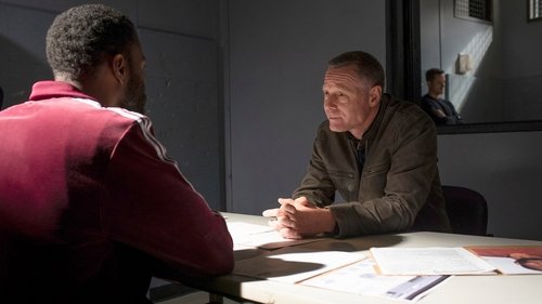 Chicago P.D. Distrito 21: 6×8