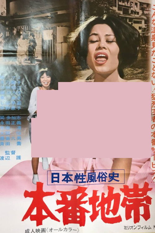 Japanese History of Sexual Customs: The Red-Light District poster