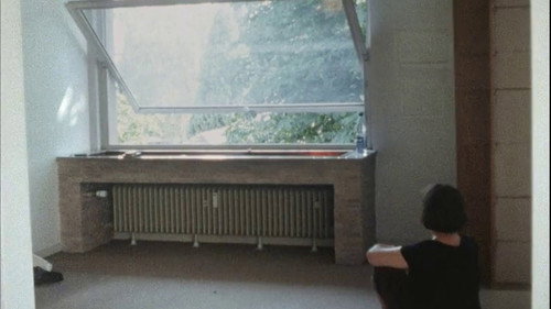 Hanging Upside Down in the Branches