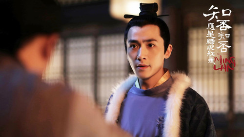 知否知否应是绿肥红瘦 DVD版