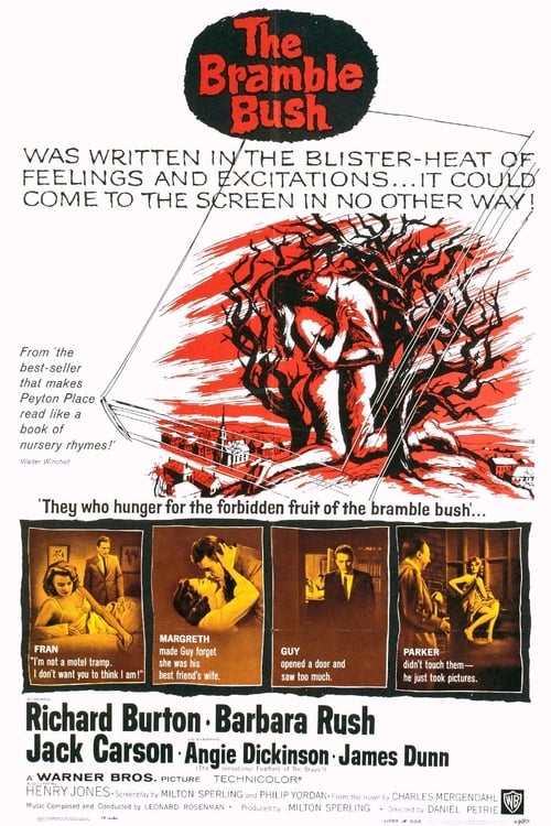 The Bramble Bush (1960)