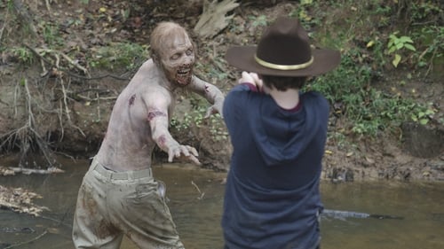 The Walking Dead: 2×11