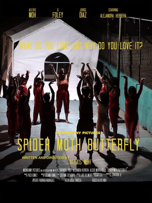 Spider Moth Butterfly (2020) poster
