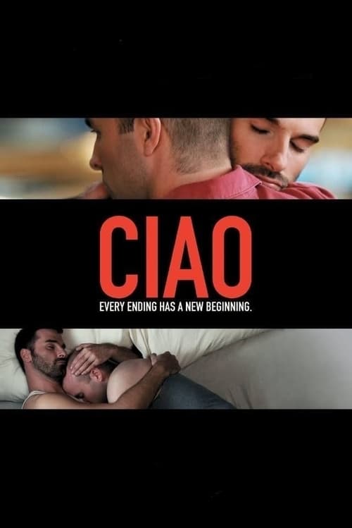 A man learns that his late friend had a secret online lover who is on the way from Italy.