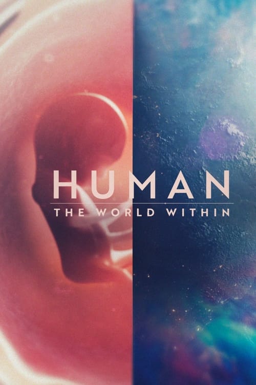 Image Human: The World Within
