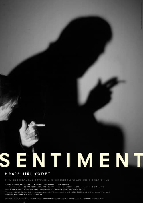 Sentiment Movie Poster Image