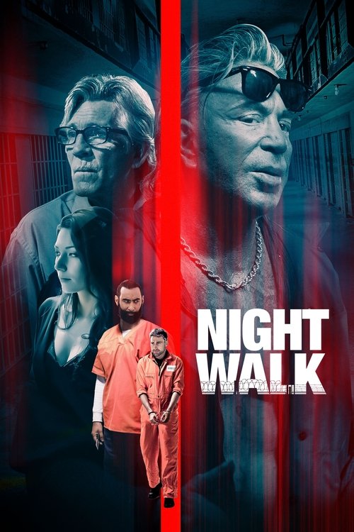 Poster image du film Night Walk Night Walk