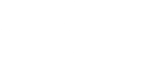 THE STANDARD 8 Minute History On Stage