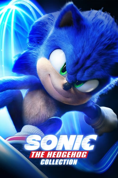 Sonic The Hedgehog Filmreihe Poster