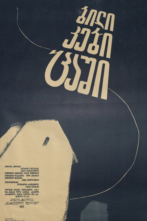 ბილიკები ცაში poster