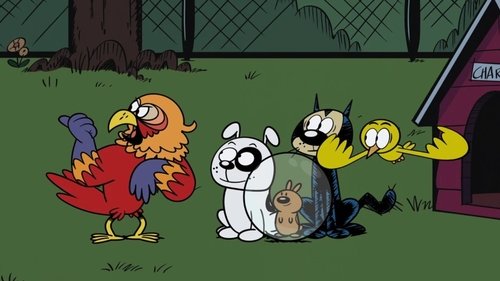 Épisode 21