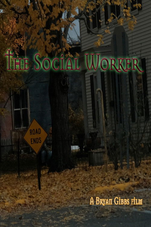 The Social Worker poster