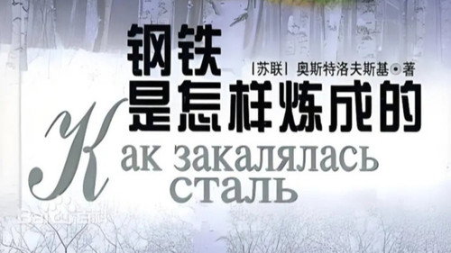 钢铁是怎样练成的 — Fondos 1