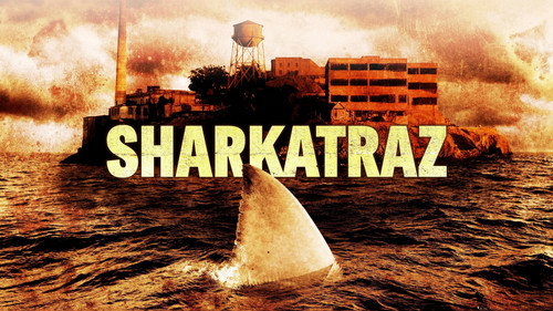 Sharkatraz Bild 6