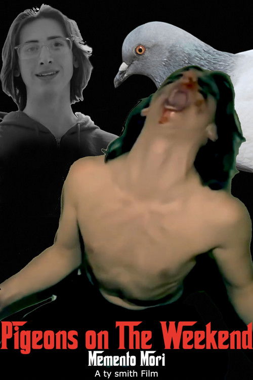 Pigeons on The Weekend