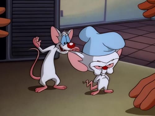 Poster della serie Pinky and the Brain