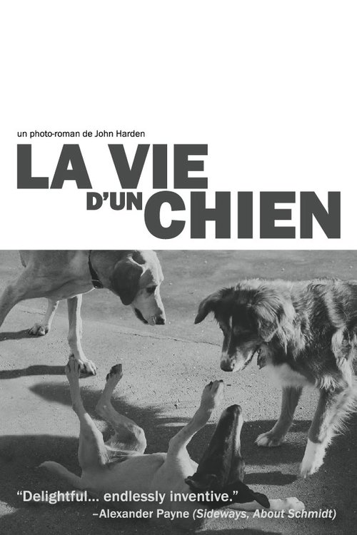 La vie d'un chien 2005