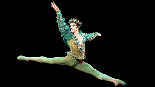 Men at the Barre - Inside the Royal Ballet still