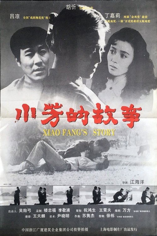 小芳的故事 (1994) poster